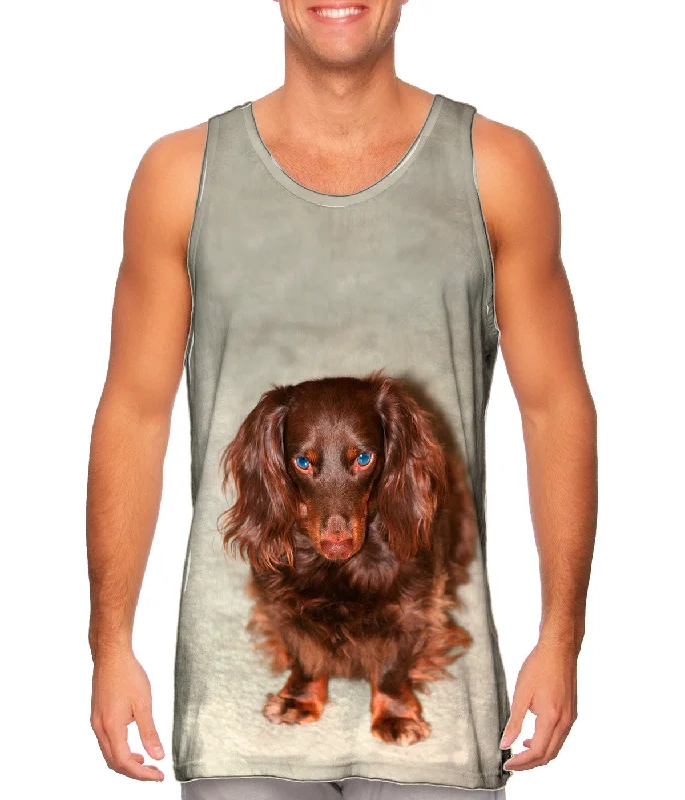 Bad Mood Chocolate Dachshund